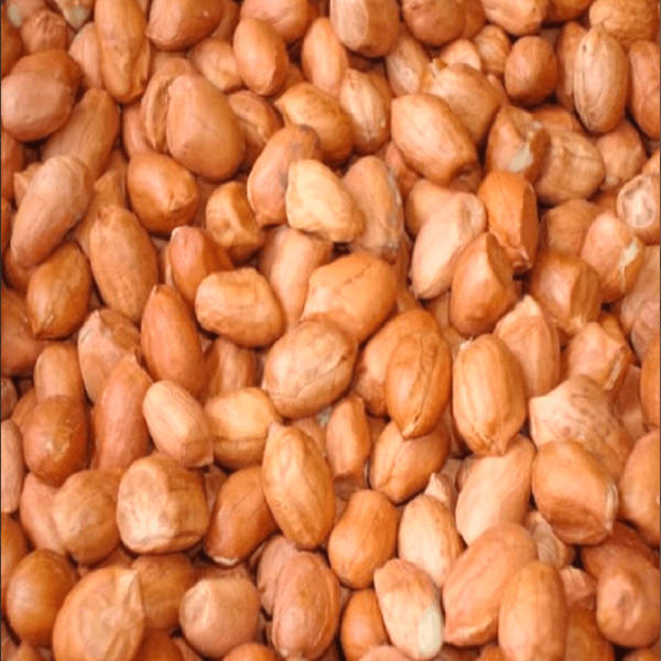 Amendoim Runner Sem Casca Crú 500g