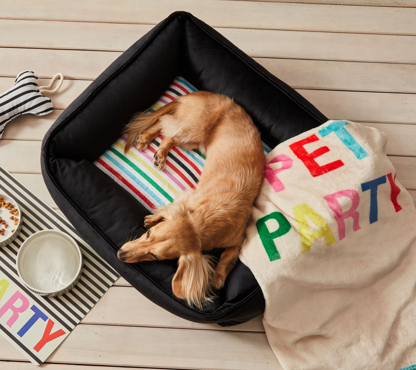 Encontraproduto.com.br - Cama Pet Preta Com Listras Coloridas  M - Acasa Cama Pet Preta Com Listras Coloridas - Acasa