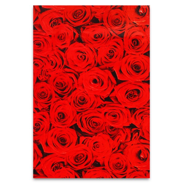 50 unidades Sacos Laminados para Presente Aliança 25x36 cm