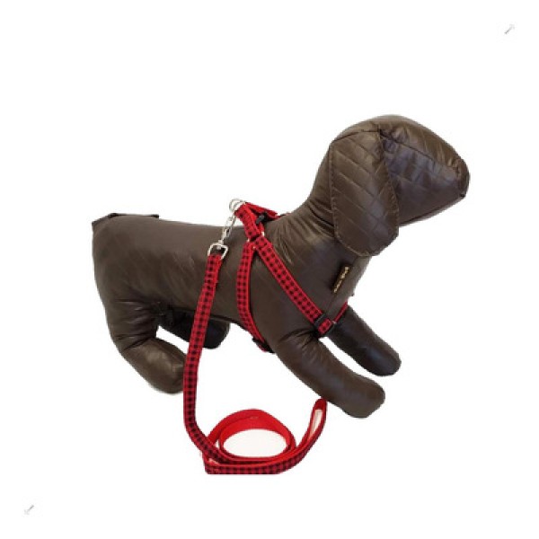 Encontraproduto.com.br - Peitoral com Guia Estampada São Pet Vermelho
