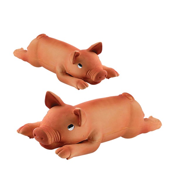 Porcão em Latex