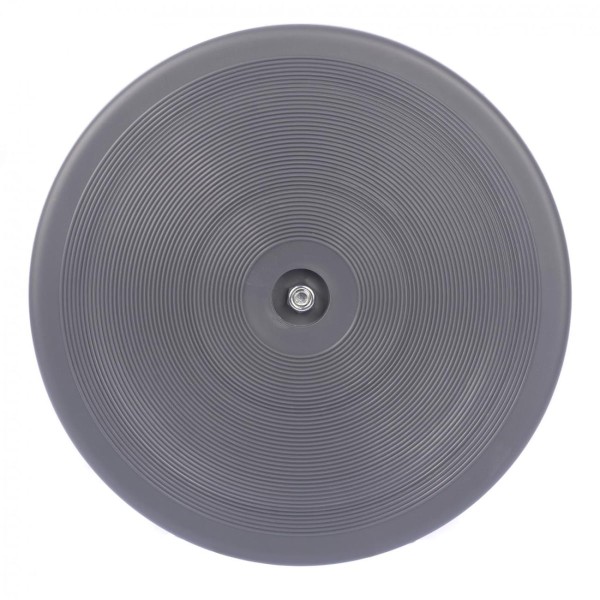 Encontraproduto.com.br - Disco Magnetic Trimmer 25Cm Roxo Liveup