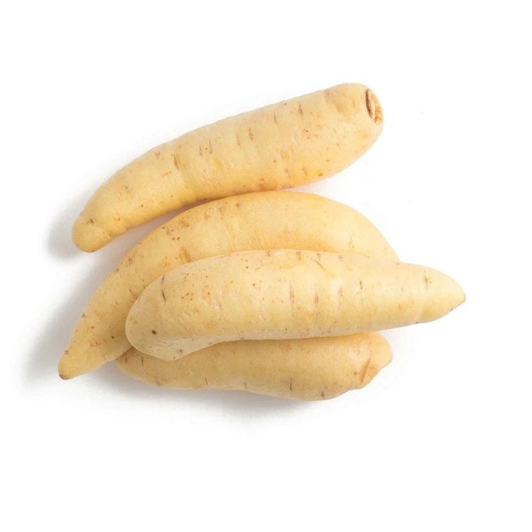 Encontraproduto.com.br - Cenoura Baroa Brasnica 400g