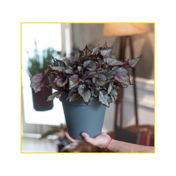 Encontraproduto.com.br - Vaso para Plantas em Polietileno Sampa Taupe 18X16CM - I.SAMP.018.016.34 - Vasart