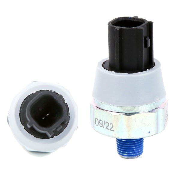 Encontraproduto.com.br - Interruptor Óleo Nissan Livina 2008 a 2014 - 1291168 - 53316