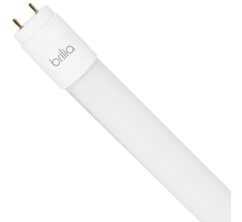 Lâmpada Tubo Led T8 10w Bivolt G13 60cm Branco Frio Brilia Cor da luz Branco Frio 6500k 110V/220V