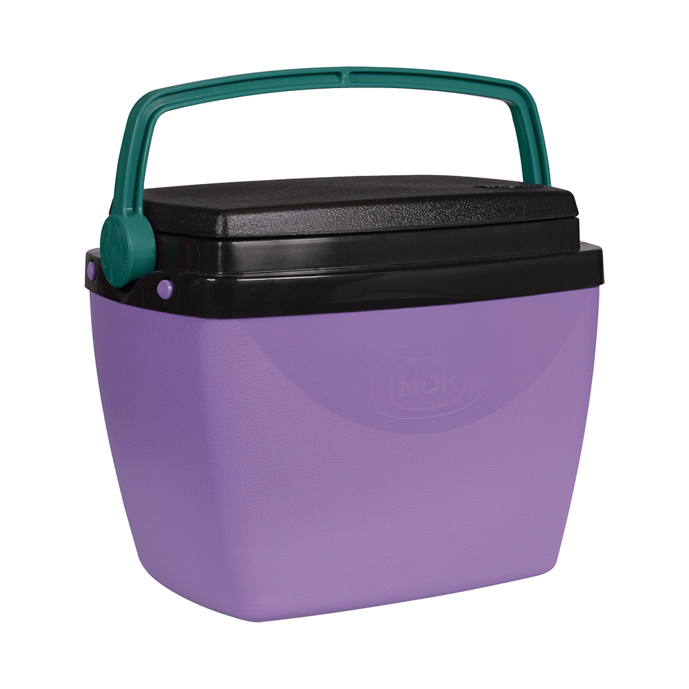 Encontraproduto.com.br - Caixa Térmica 6L Lilás com Verde