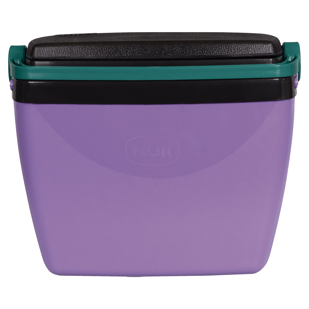 Encontraproduto.com.br - Caixa Térmica 6L Lilás com Verde