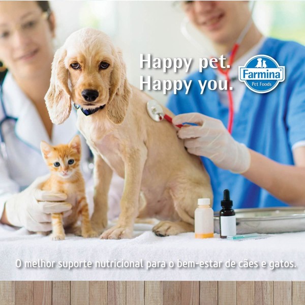 Encontraproduto.com.br - Ração Vet Life Cães Gastro Intestinal