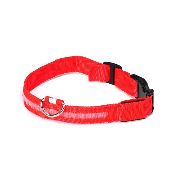 Encontraproduto.com.br - Coleira Com Led Cães The Pets Colors