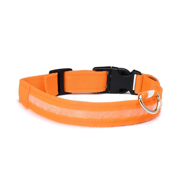 Encontraproduto.com.br - Coleira Com Led Cães The Pets Colors