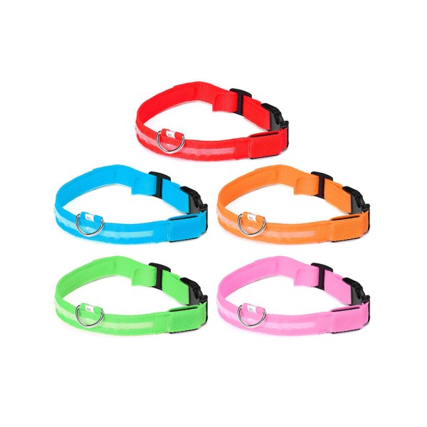 Encontraproduto.com.br - Coleira Com Led Cães The Pets Colors