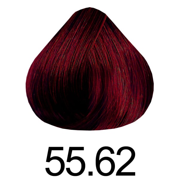 Encontraproduto.com.br - Kit Tintura Haskell Excllusiv Color Pratic Vermelho Violine 55.62