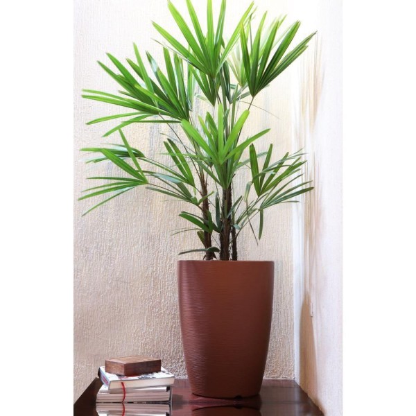 Encontraproduto.com.br - Vaso Tramontina Thai em Polietileno Marrom 67 Cm