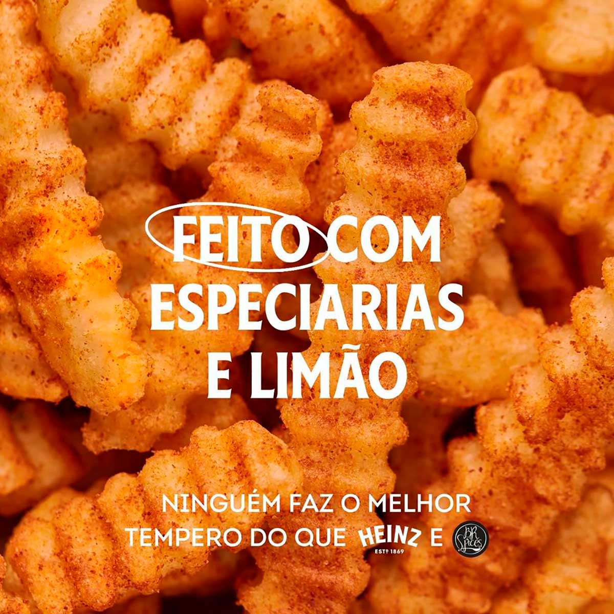 Encontraproduto.com.br - Tempero Heinz Batata Frita Frasco com 70g