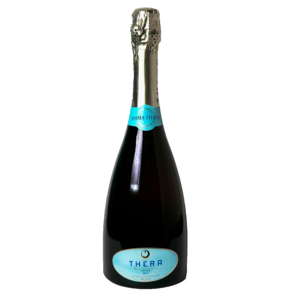 Encontraproduto.com.br - Espumante THERA Brut Garrafa 750ml