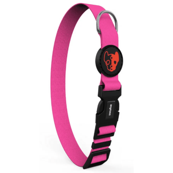 Encontraproduto.com.br - Coleira para Cães Lumini Rosa PP - Anymous