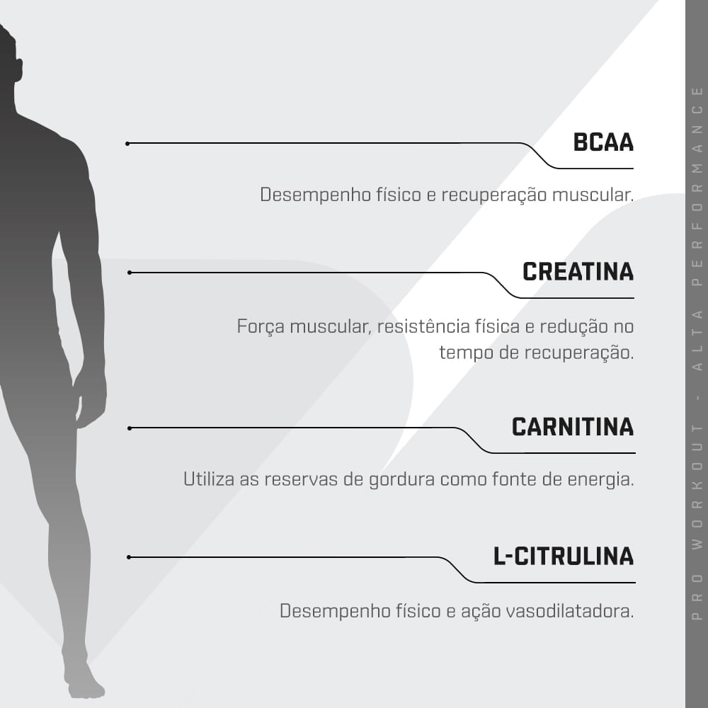 Encontraproduto.com.br - PRO WORKOUT - 600G