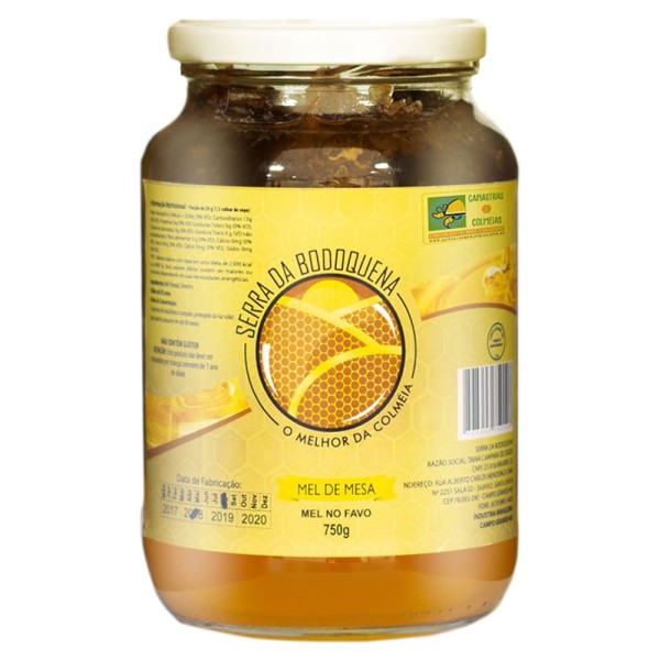 Mel Silvestre Serra da Bodoquena Favo 750g