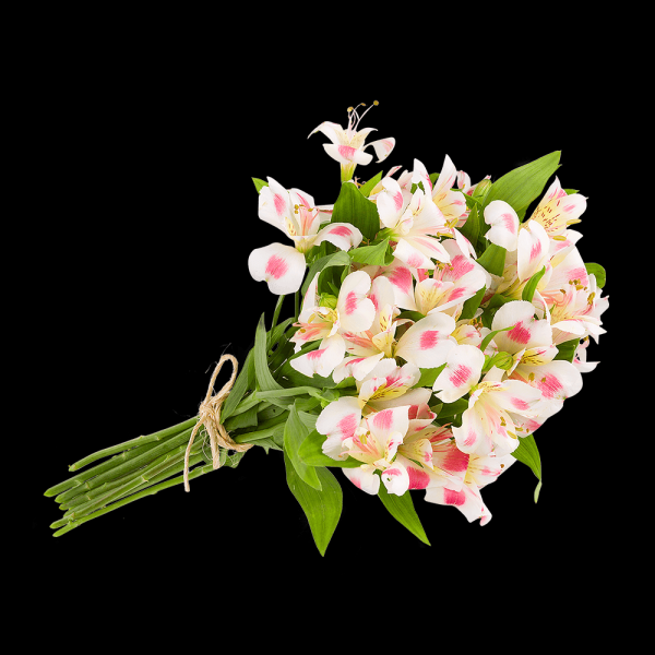 Encontraproduto.com.br - Alstroemeria Nacional Maço Com 10