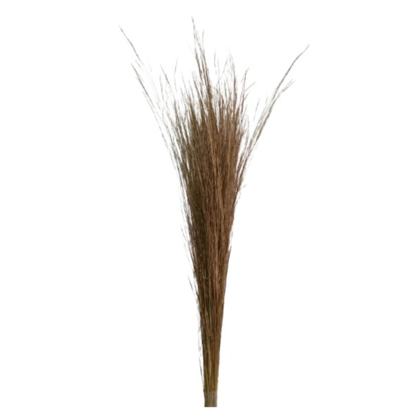 Capim Brilhante Natural S&R Flores