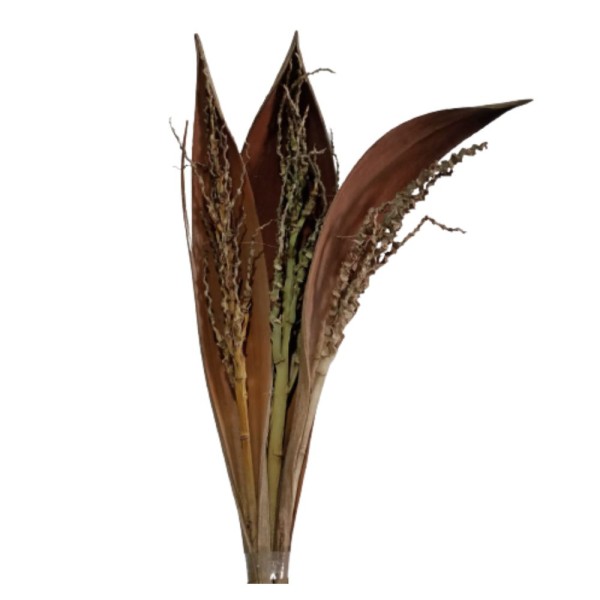 Capa De Coco Natural S&R Flores