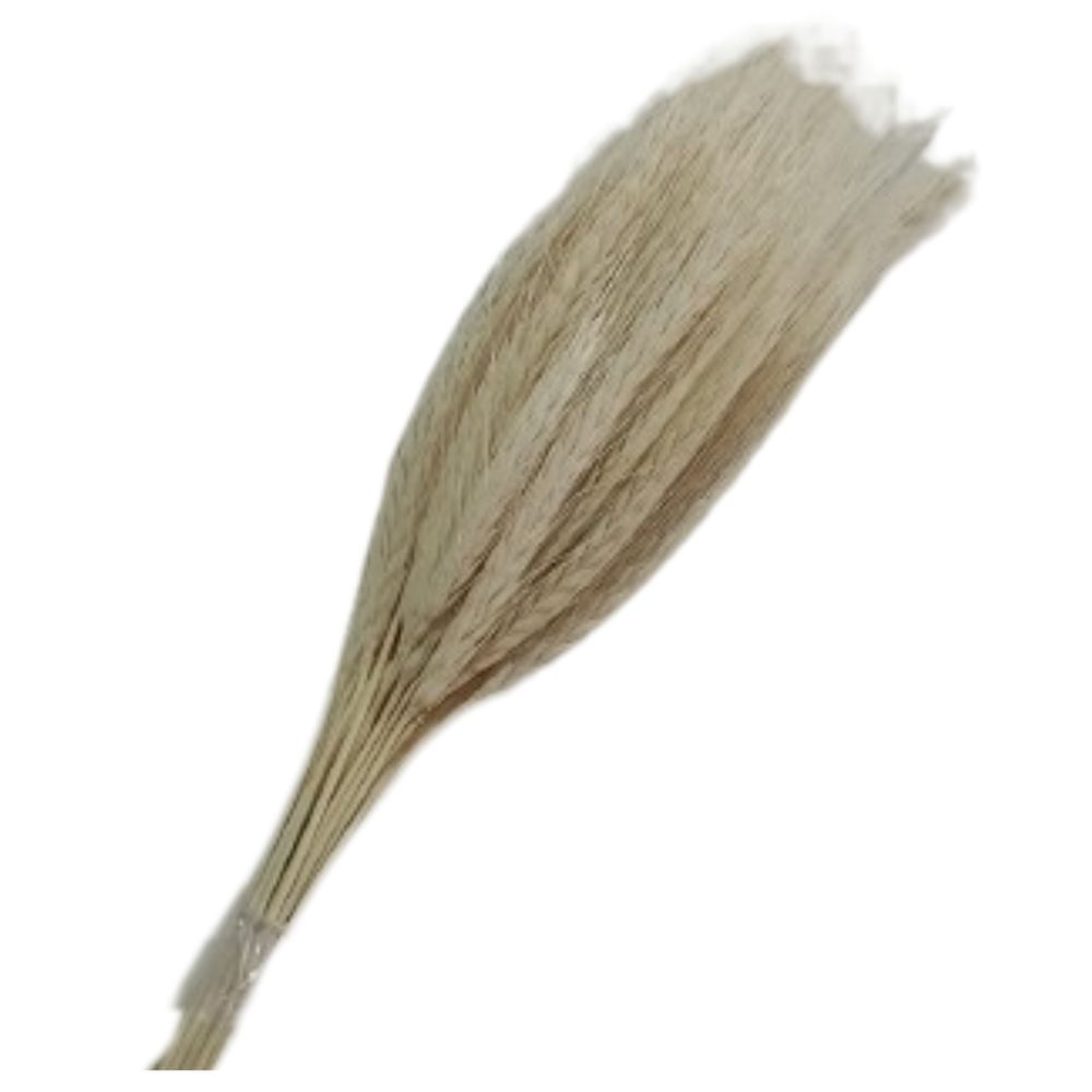Flor De Trigo Alvejado Com 40 Hastes S&R Flores
