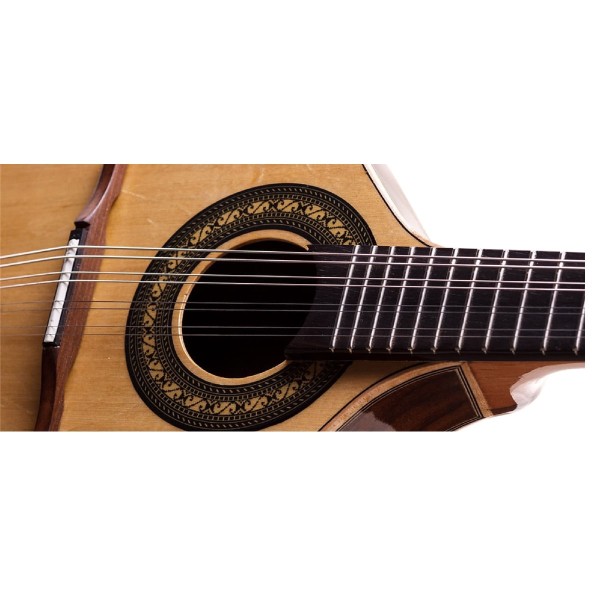 Encontraproduto.com.br - Bandolim Estudante Fosco RB-21 AC.F.I - Rozini
