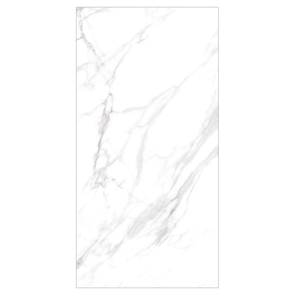 Encontraproduto.com.br - Porcelanato Esmaltado Mármore Carrara 60X120cm Polido Retificado