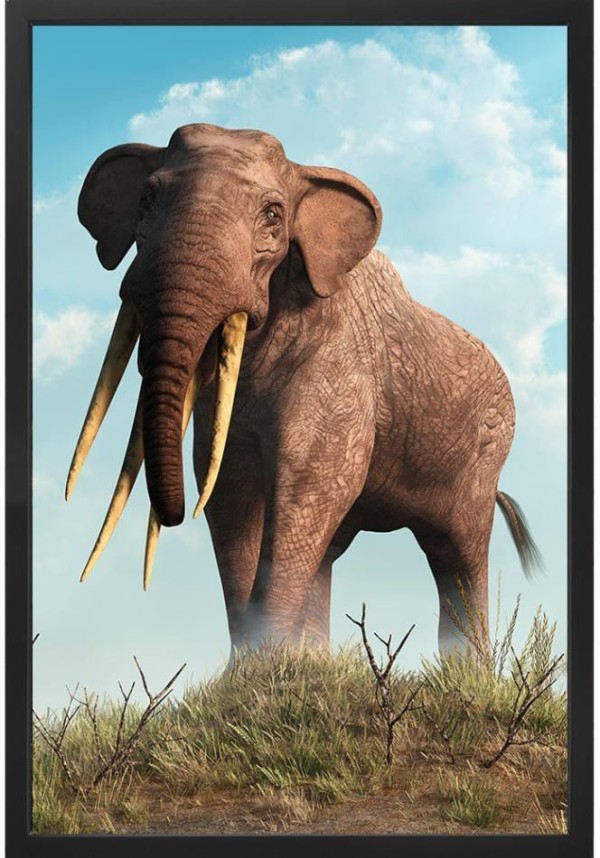 Quadro Decorativo Arte Própria Elefante 40x60cm