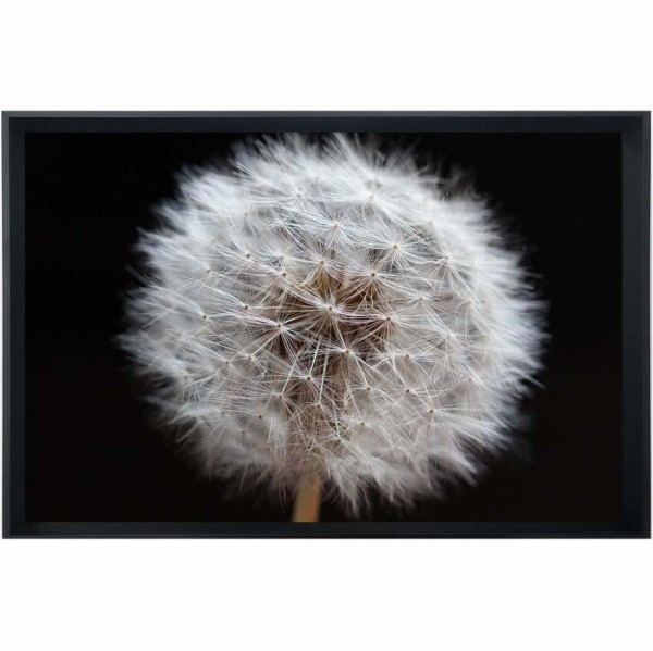 Quadro Decorativo Arte Própria Dente de Leão I 90x60cm