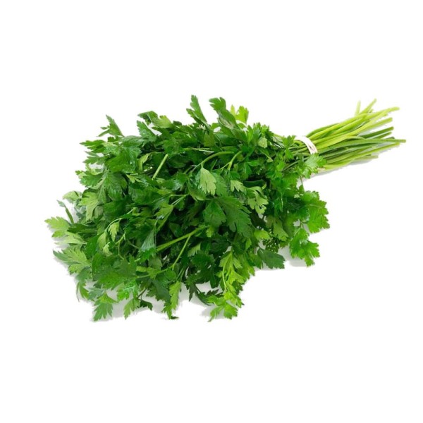 Encontraproduto.com.br - Salsa Nutriens Orgânico Maço 40g