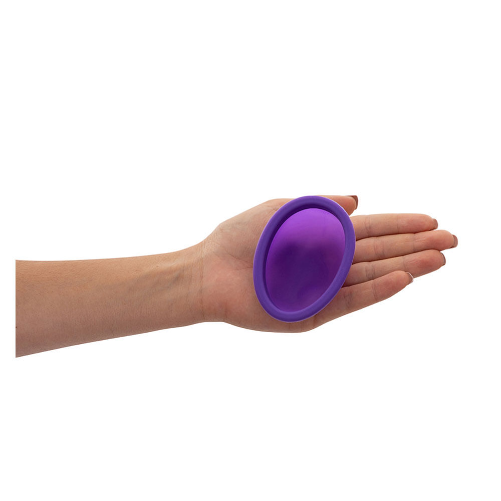 Encontraproduto.com.br - Violeta Cup Disco Menstrual Kit – Caneca + Disco Menstrual Violeta Violeta