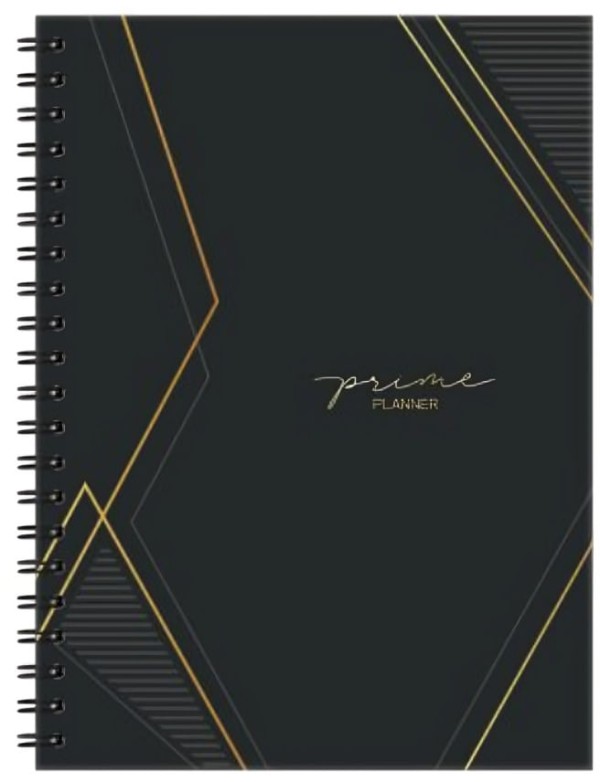 Encontraproduto.com.br - Planner Permanente Prime Mensal E Semanal Espiral