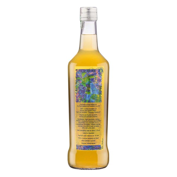 Encontraproduto.com.br - Aperitivo Busca Vida Garrafa com 670ml