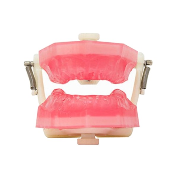 Encontraproduto.com.br - Manequim de Endodontia PD107 - Pronew