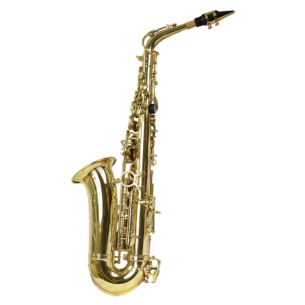 Saxofone Alto As 200 Laqueado Dourado Com Case New York [f097]