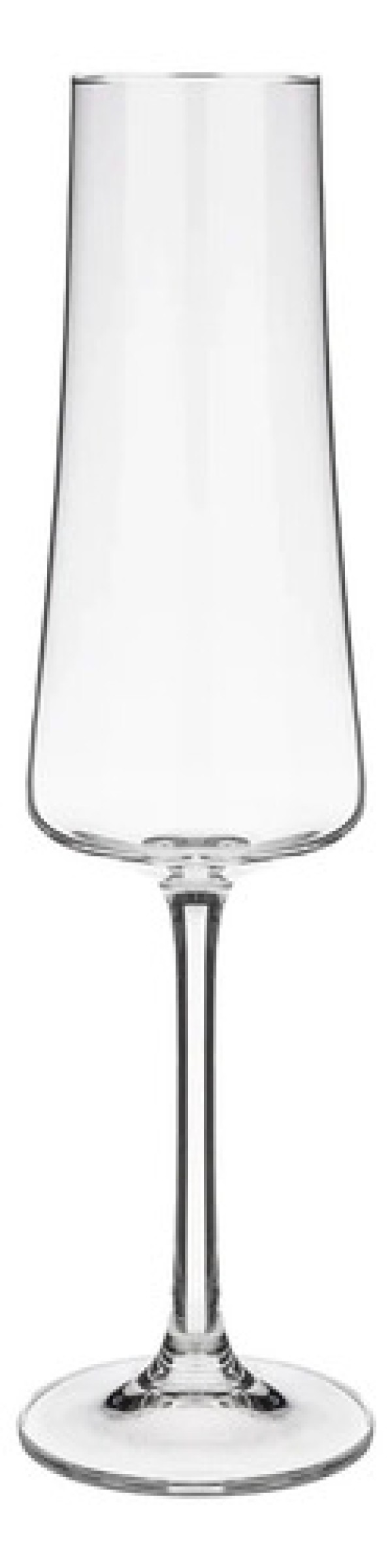 Taça para espumante Pleasure 210ml Haus Concept 26,3 x 7 cm