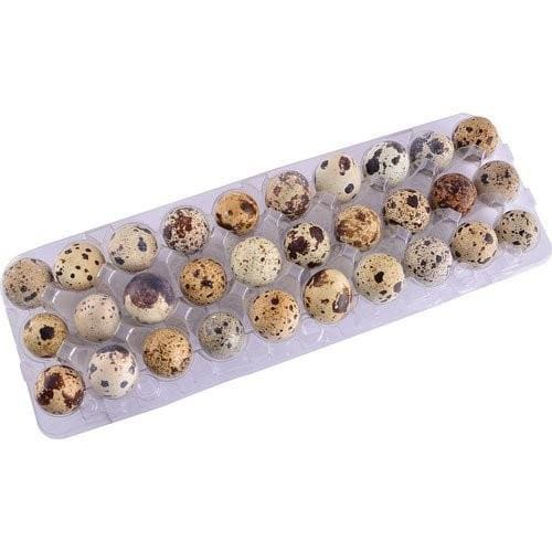 Encontraproduto.com.br - Ovos Codorna Ovos Com 30