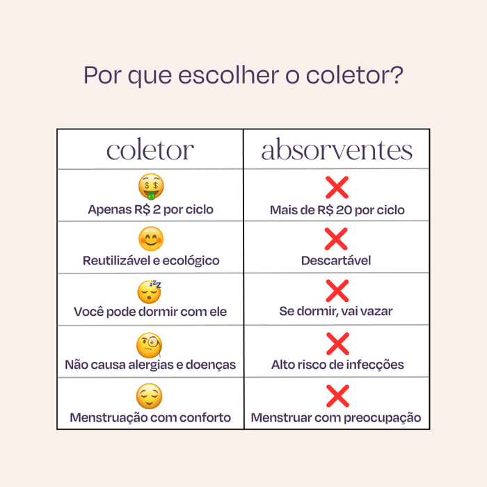 Encontraproduto.com.br - Kit Coletor Menstrual Fleurity Mini