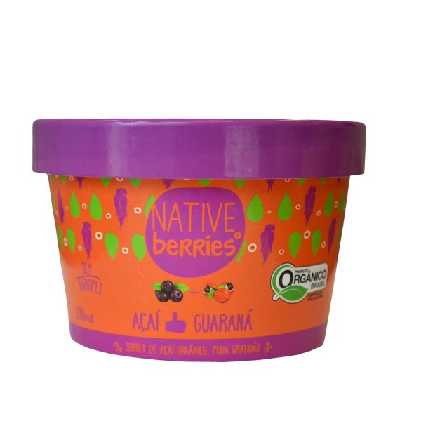 Encontraproduto.com.br - Sorbet de Açaí com Guaraná Native Berries Orgânico 200ml