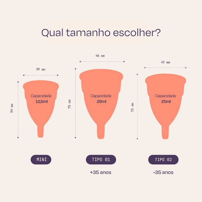 Encontraproduto.com.br - FLEURITY COLETOR MENSTRUAL TIPO 2 ROSA E ROXO x 2