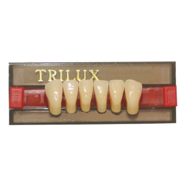 Encontraproduto.com.br - Dente Trilux Anterior Inferior - VIPI