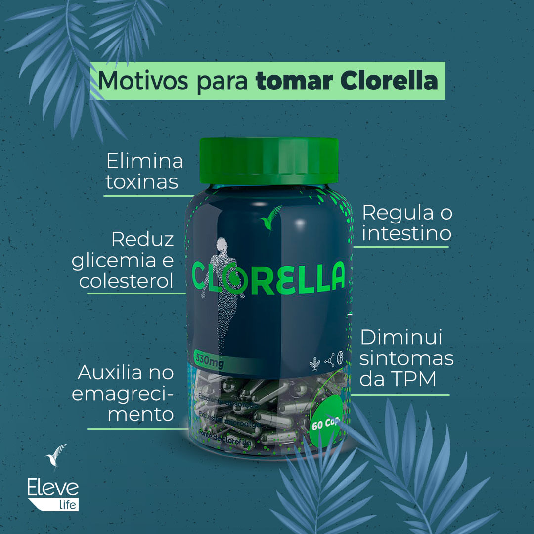 Encontraproduto.com.br - Kit Queridinhos Eleve Life - Clorella + Ômega + Feno Grego + E-book