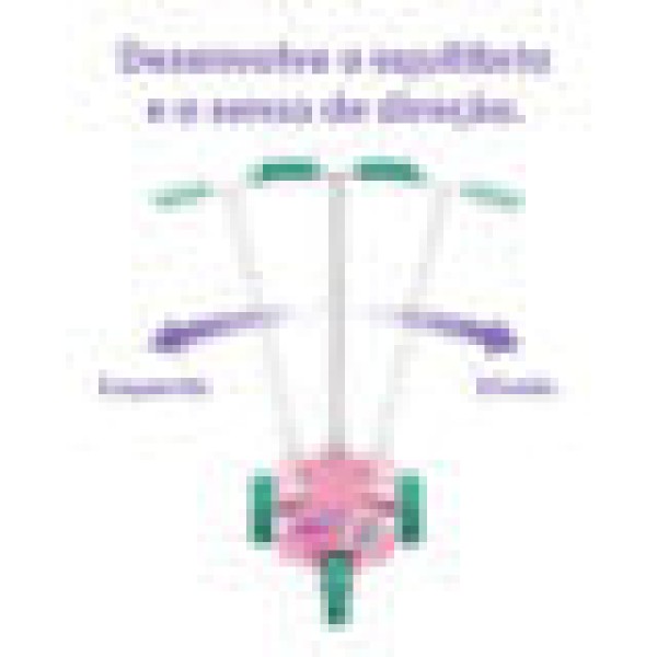 Encontraproduto.com.br - Patinete Skatnet Kid Flower