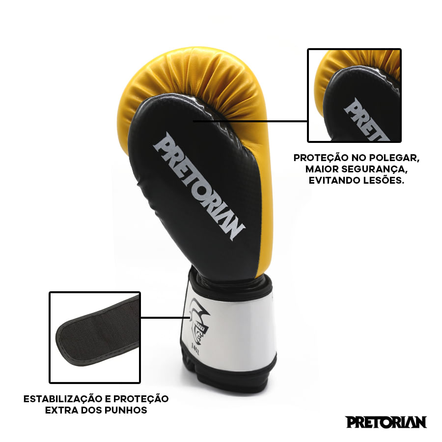 Luva De Boxe/Muay Thai Elite + Bolsa Para Transporte - Pretorian