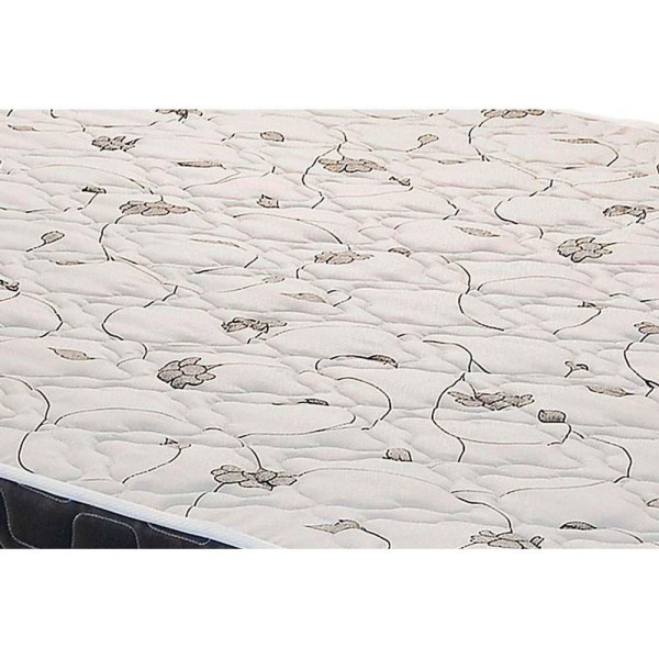 Encontraproduto.com.br - Cama Box Queen: Colchão Espuma Anjos D28/ag65 Pantanal Thie