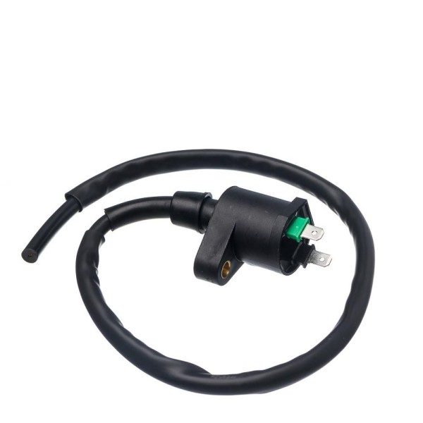Bobina Ignicao Condor 12v Cg 125 92 A 99 [f016]