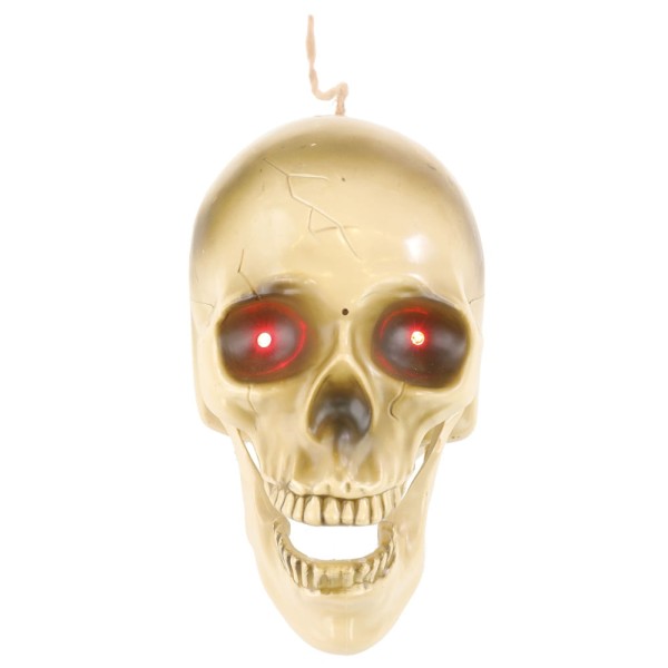 Encontraproduto.com.br - Objeto Decorativo - Crânio Maxilar Articulado - Halloween - Cromus
