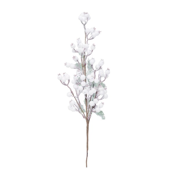 Encontraproduto.com.br - Galho Frutas Bco C/1 Un Cromus 1016624 65x15x5cm